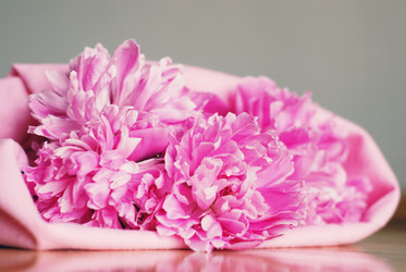 Similar image 248768