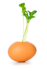 Similar image 248770