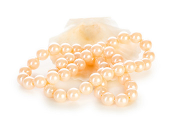 Similar image 248786