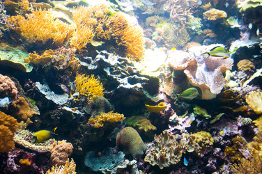 Similar image 248892