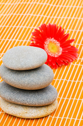 Similar image 248895