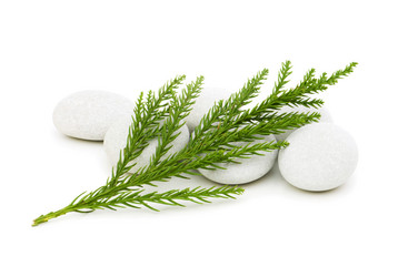 Similar image 248909