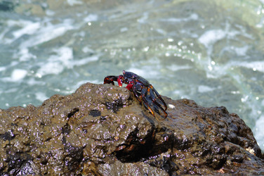 Similar image 248927