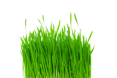 Similar image 248964