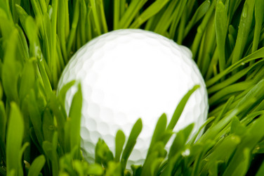 Similar image 249002