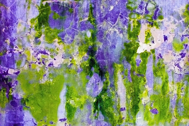 Similar image 249010