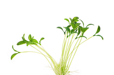 Similar image 249034