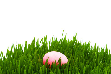 Similar image 249071