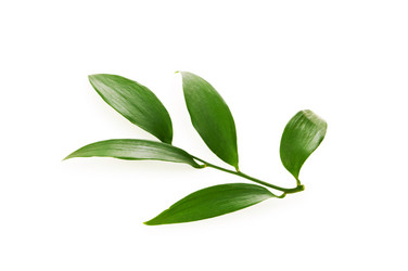 Similar image 249072