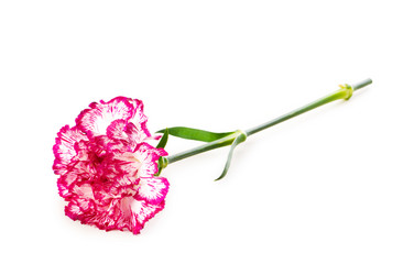 Similar image 249085