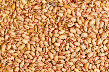 Similar image 249103