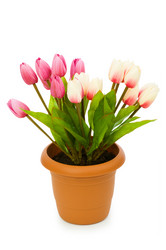 Similar image 249107