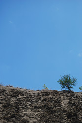 Similar image 249133