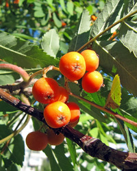 Similar image 249162