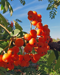 Similar image 249253