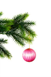 Similar image 249312