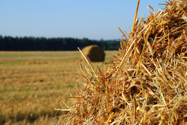 Similar image 249382