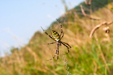 Similar image 249397