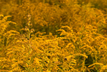 Similar image 249398