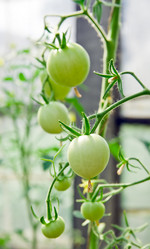 Similar image 249400