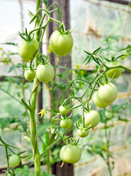 Similar image 249401