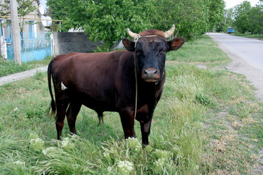 Similar image 249404