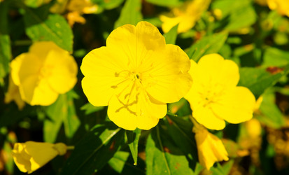 Similar image 249430