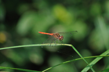 Similar image 249480