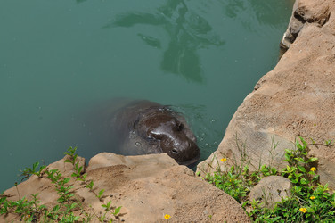 Similar image 249486