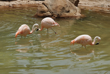 Similar image 249487