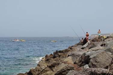 Similar image 249501