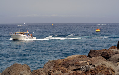 Similar image 249502