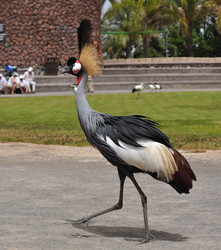 Similar image 249511