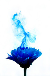 Similar image 249517