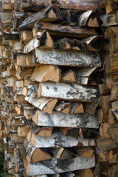 Similar image 249525