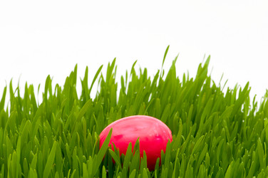 Similar image 249530