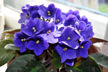 Similar image 249535