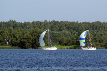 Similar image 249539