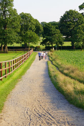 Similar image 249542