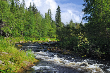 Similar image 249558