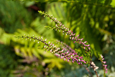 Similar image 249610