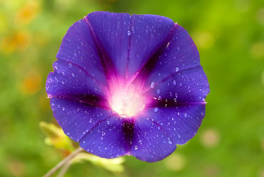 Similar image 249611