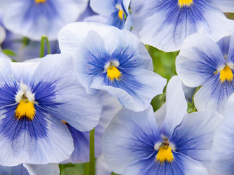 Similar image 249620