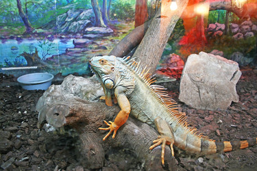 Similar image 249635