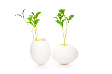 Similar image 249651