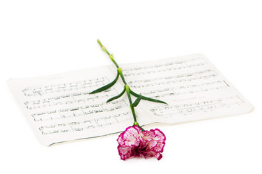 Similar image 249652