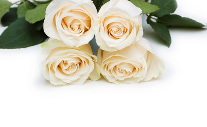 Similar image 249658