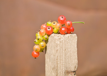 Similar image 249675