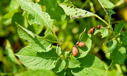 Similar image 249677