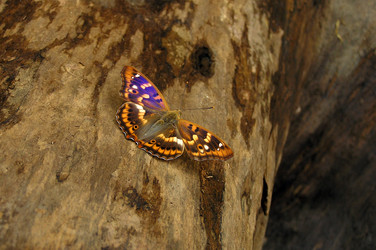 Similar image 249678